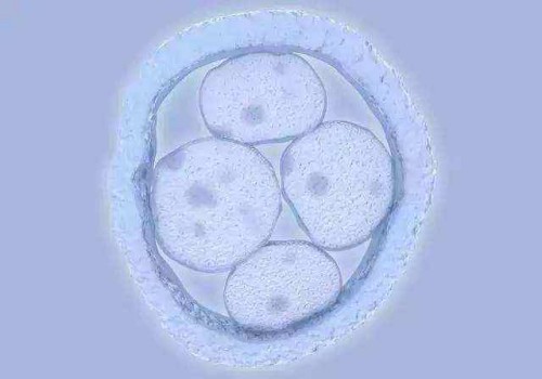 福州试管助孕公司：宝宝消化不良别着急，教你这8个应对小妙招