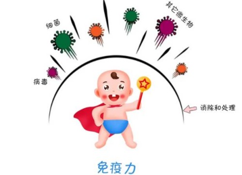 三代试管婴儿生龙凤胎费用明细，和单胎区别不大