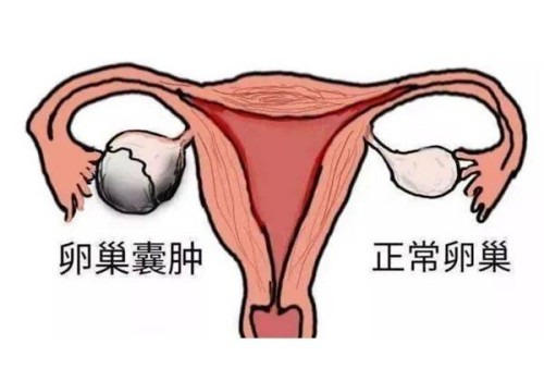 2023周口市中心医院试管婴儿流程指南，助孕成功率预估