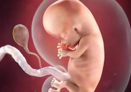 福州正规助孕机构：2023汾阳市妇幼保健院试管婴儿成功坏孩子策略，助孕成功率多少