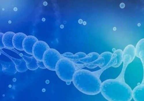 福州助孕机构：2022不孕女性做胚胎移植前有什么方法增加成功率-